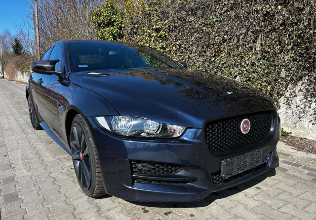 jaguar